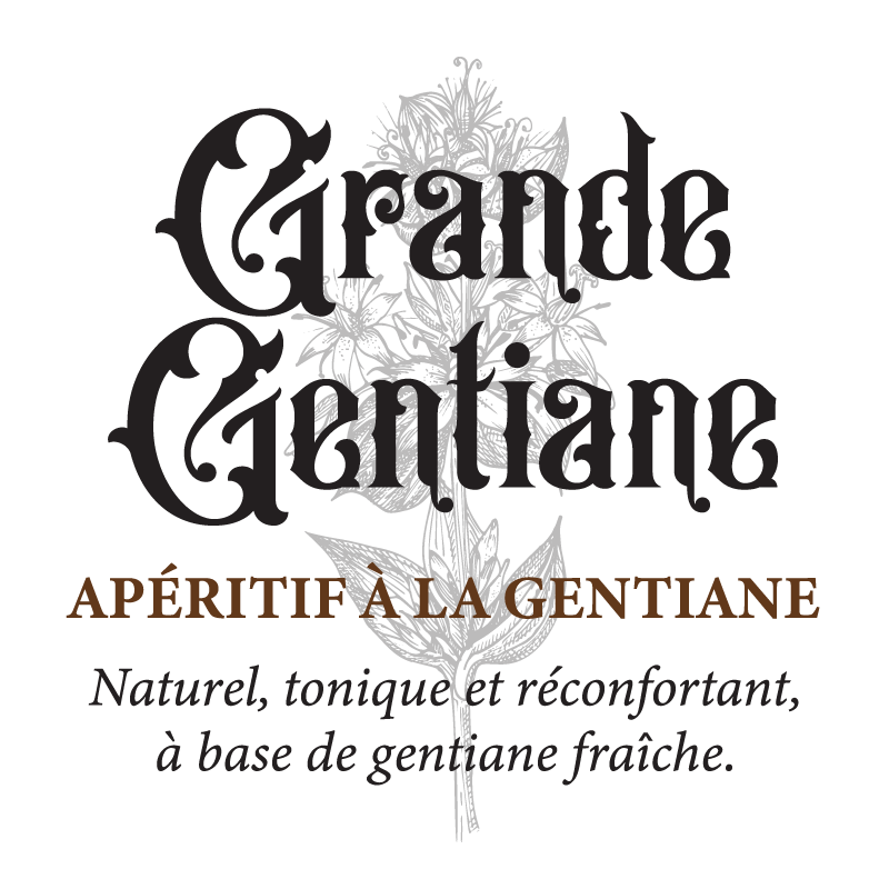 Grande Gentiane Genestine